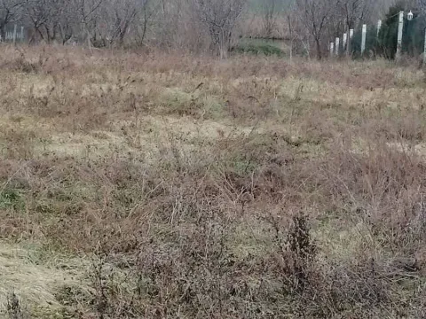 Sale, house, 99m², Bečmen, Surčin - image 2