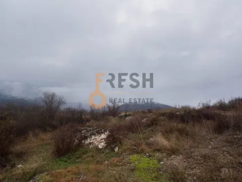 Prodaja, plac, 2500m², Danilovgrad, Crna Gora - image 6