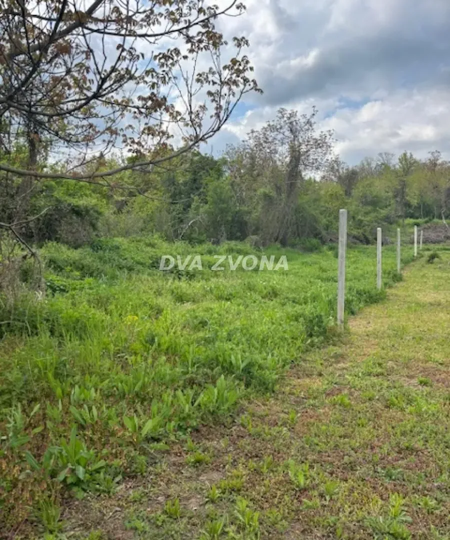 Prodaja, plac, 6400m², Čortanovci, Inđija