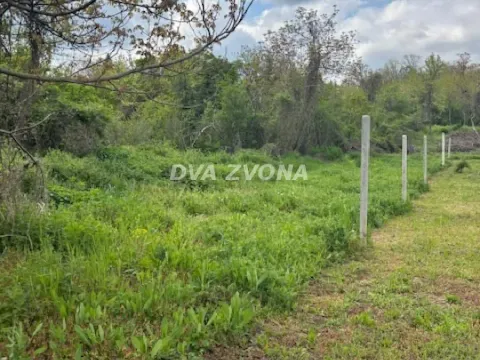 Prodaja, plac, 6400m², Čortanovci, Inđija - image 3