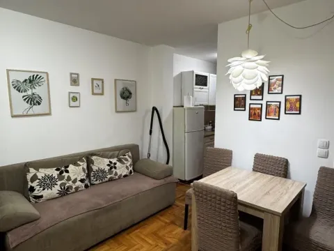 Sale, one bedroom apartment, 31m², Cvetkova Pijaca, Zvezdara Sve Podlokacije - image 5