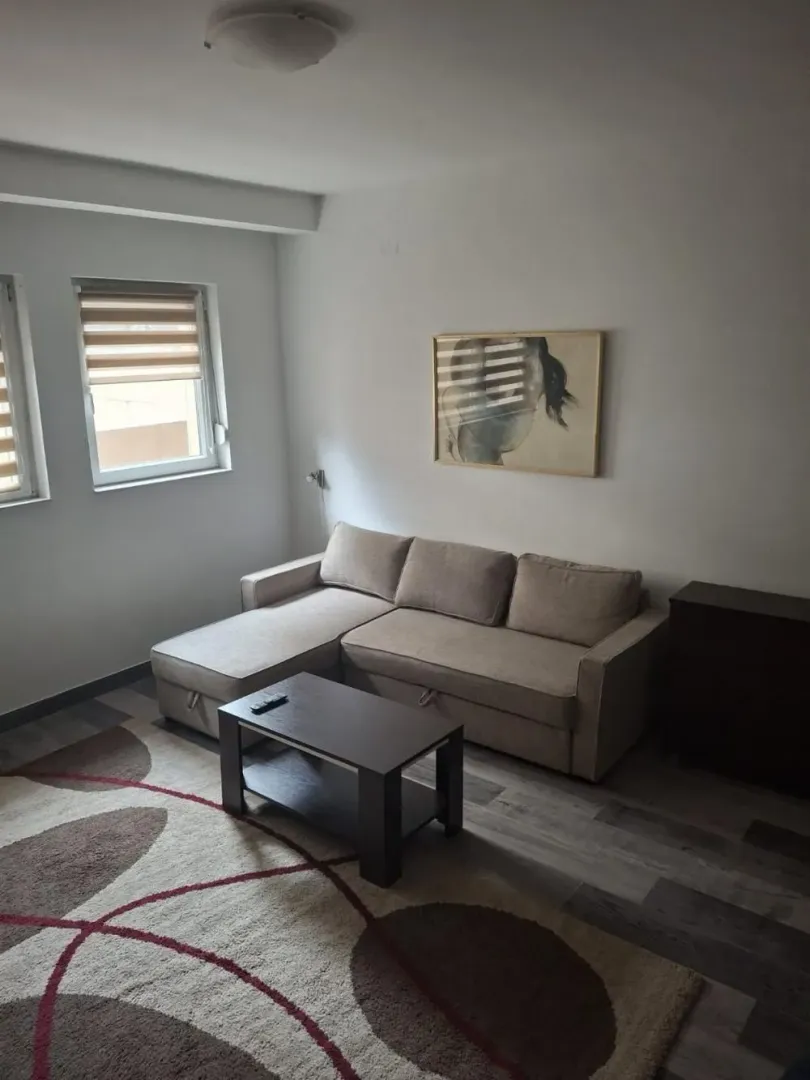 Living room with a sectional sofa, coffee table and a rug.