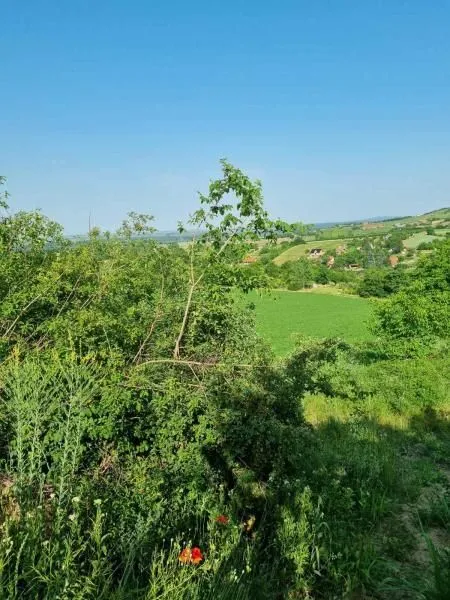 Prodaja, plac, 8400m², Sremski Karlovci, Novi Sad