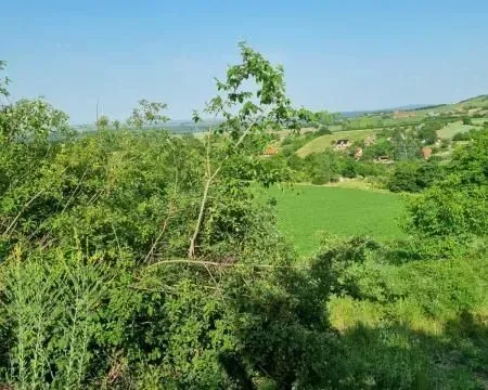 Prodaja, plac, 8400m², Sremski Karlovci, Novi Sad - image 11