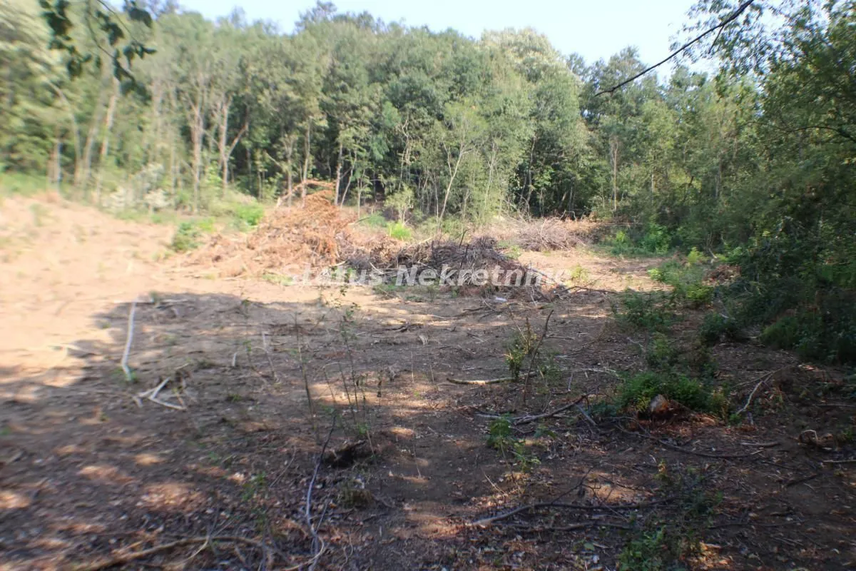 Prodaja, plac, 6531m², Beočin, Srbija