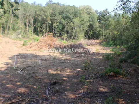 Prodaja, plac, 6500m², Beočin, Srbija - image 7