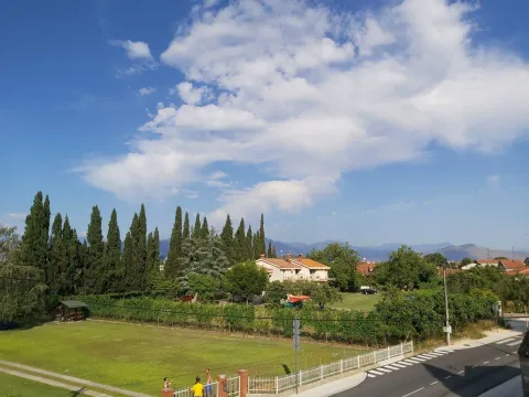 View of a spacious yard with greenery and surrounding houses. - image 4