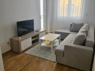 Rent, one bedroom apartment, 40m², Zabjelo, Podgorica - image 2