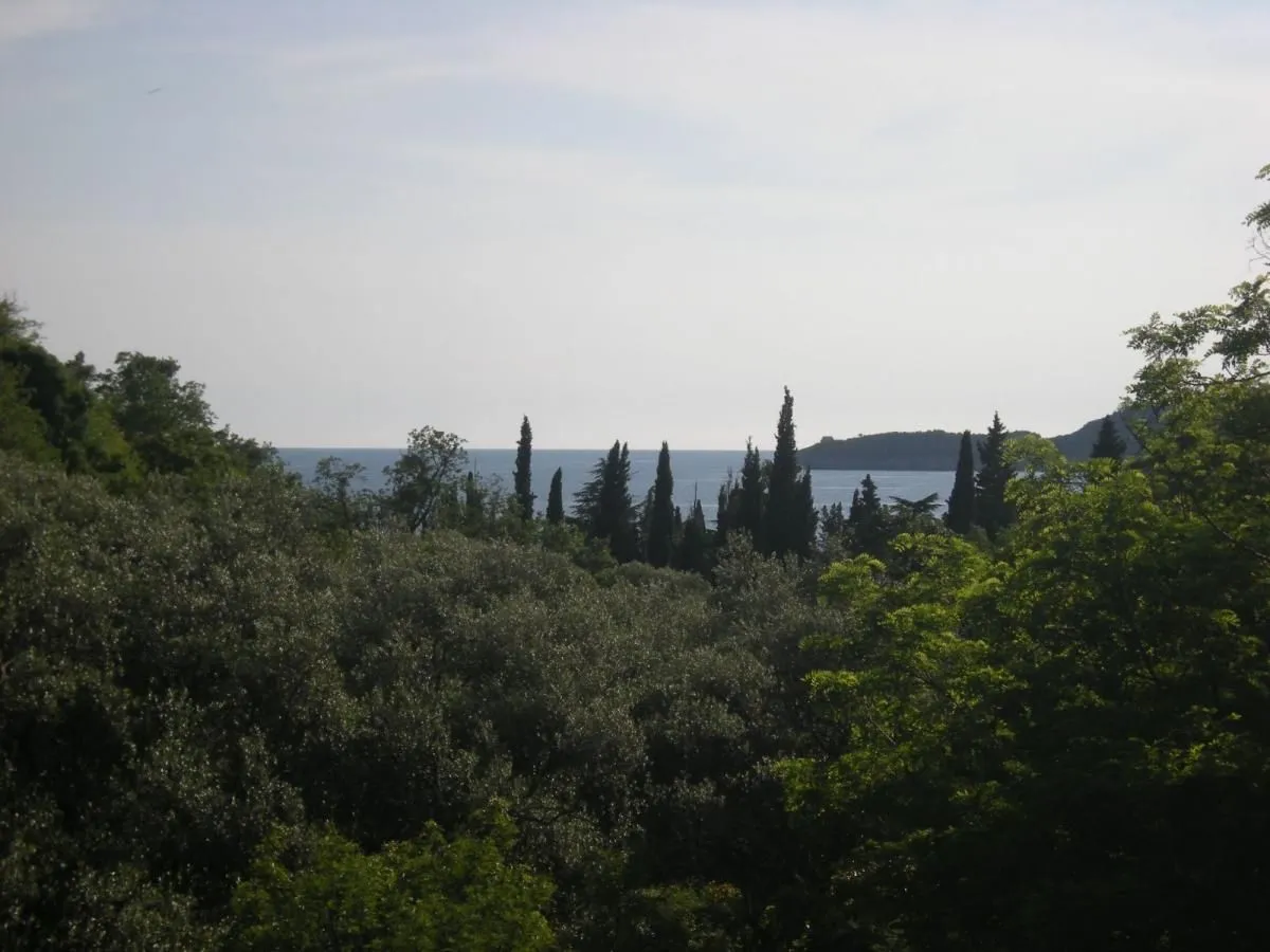 Prodaja, plac, 500m², Budva, Crna Gora