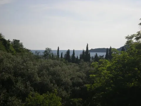 Prodaja, plac, 500m², Budva, Crna Gora - image 4