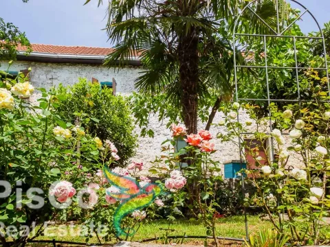 Prodaja, kuća, 250m², Danilovgrad, Crna Gora - image 1