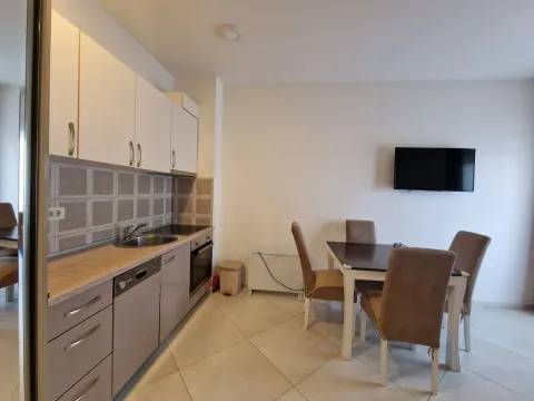 Izdavanje, jednosoban stan, 45m², Bečići, Budva - image 19