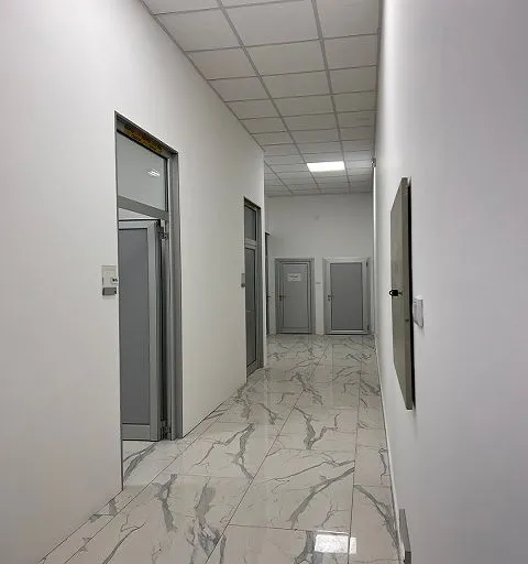 Izdavanje, poslovni prostor, 350m², Zemun Sve Podlokacije, Beograd