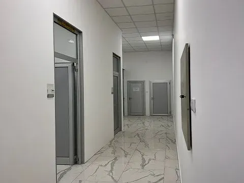 Izdavanje, poslovni prostor, 350m², Zemun Sve Podlokacije, Beograd - image 5