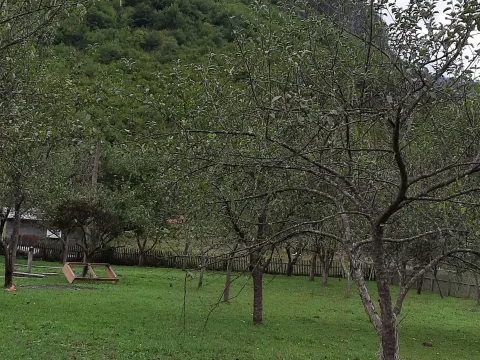 Prodaja, plac, 4000m², Dobrilovina, Mojkovac - image 11