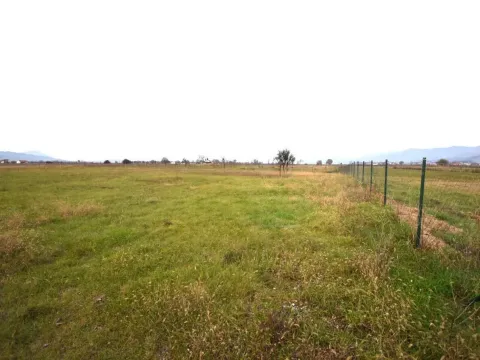 Prodaja, plac, 737m², Zeta, Podgorica - image 3