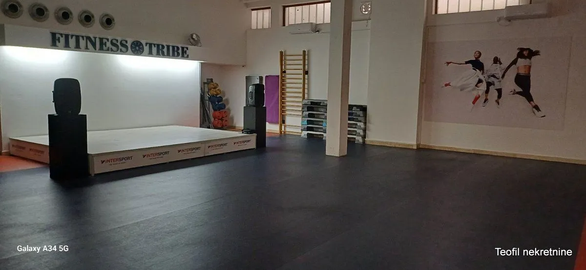 Prodaja, poslovni prostor, 1000m², Vračar, Šid