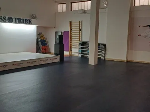 Prodaja, poslovni prostor, 1000m², Vračar, Šid - image 5