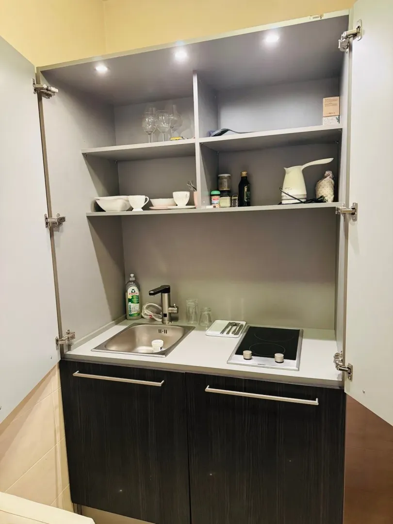 Small built-in kitchen with a sink, electric cooktop, and open shelving.