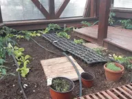 Sale, house, 80m², Žabljak II, Žabljak - image 2