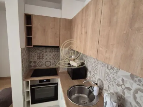Rent, two bedroom apartment, 51m², Južni Bulevar, Vračar Sve Podlokacije - image 10