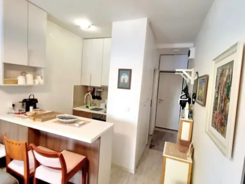 Izdavanje, garsonjera, 24m², Gintaš, Podgorica - image 3