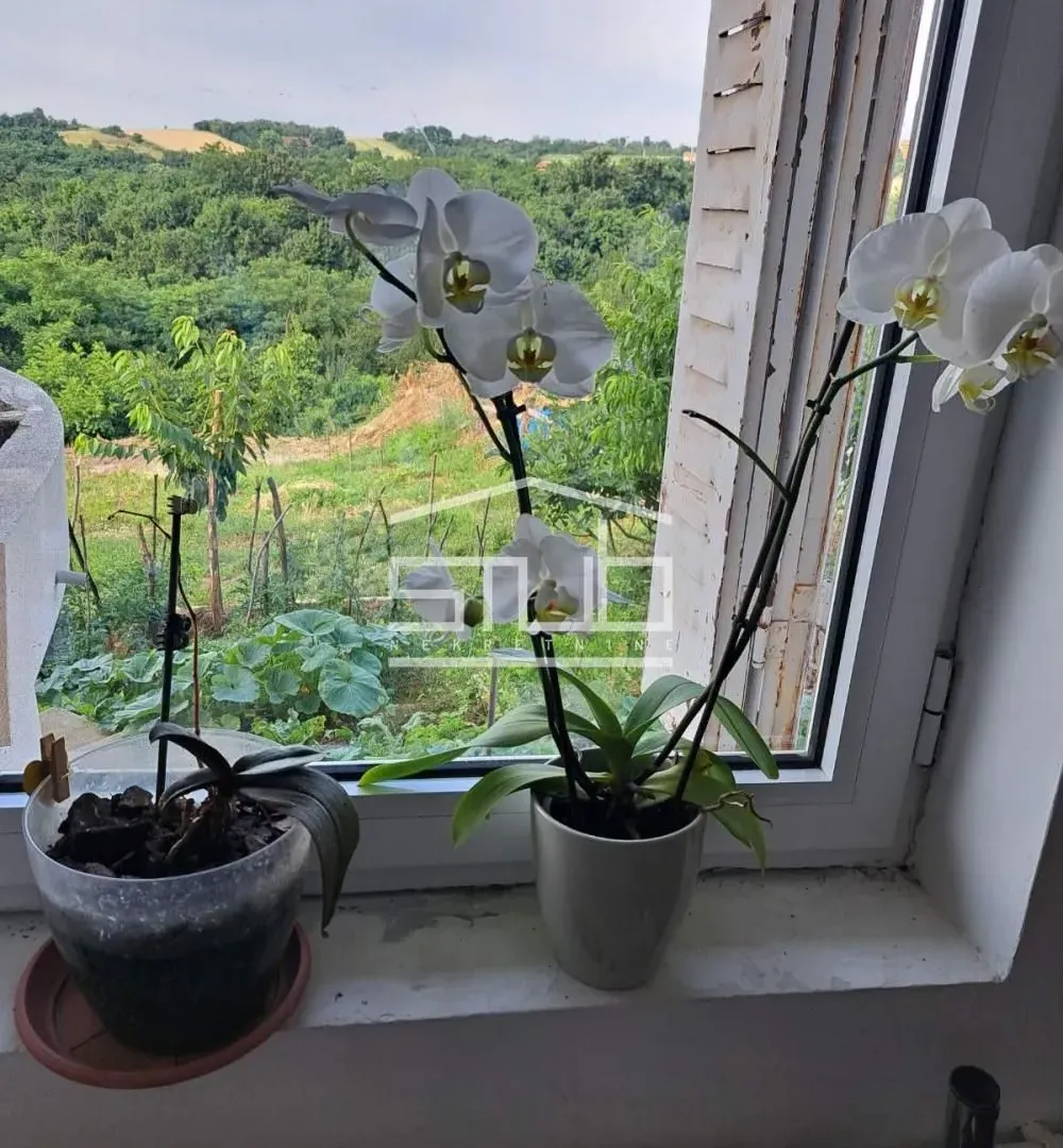 Sale, house, 194m², Čukarica, Beograd