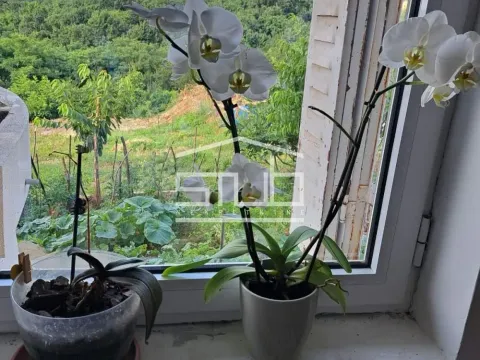 Sale, house, 194m², Rušanj, Beograd - image 8