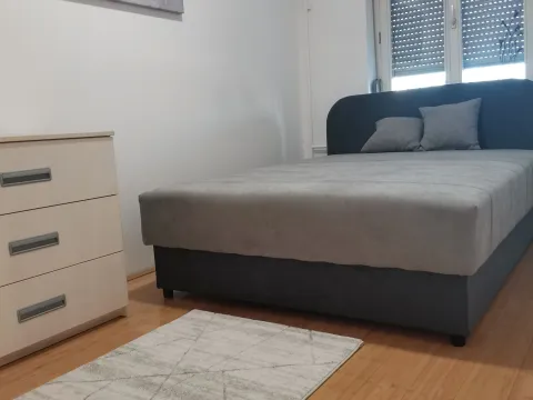 Izdavanje, dvosoban stan, 50m², Novi Beograd Sve Podlokacije, Beograd - image 4