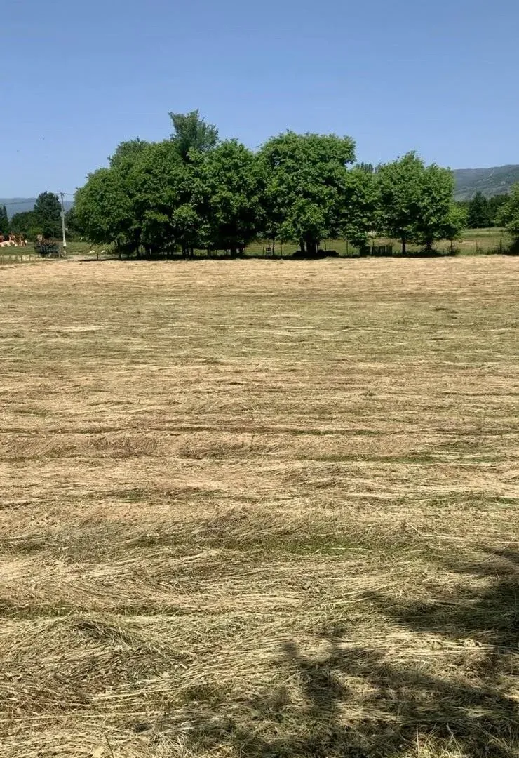 Prodaja, plac, 4650m², Podgorica, Crna Gora