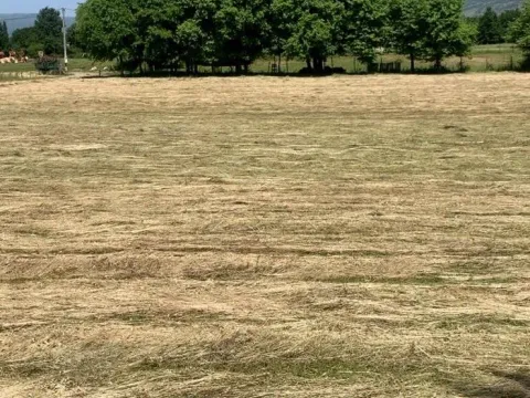 Prodaja, plac, 4650m², Podgorica, Crna Gora - image 4