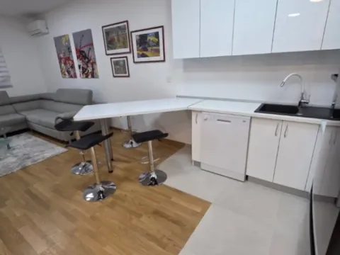 Izdavanje, jednosoban stan, 48m², Stari Aerodrom, Podgorica - image 3