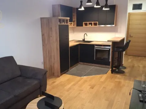 Izdavanje, jednosoban stan, 41m², Liman 4, Novi Sad Sve Podlokacije - image 2