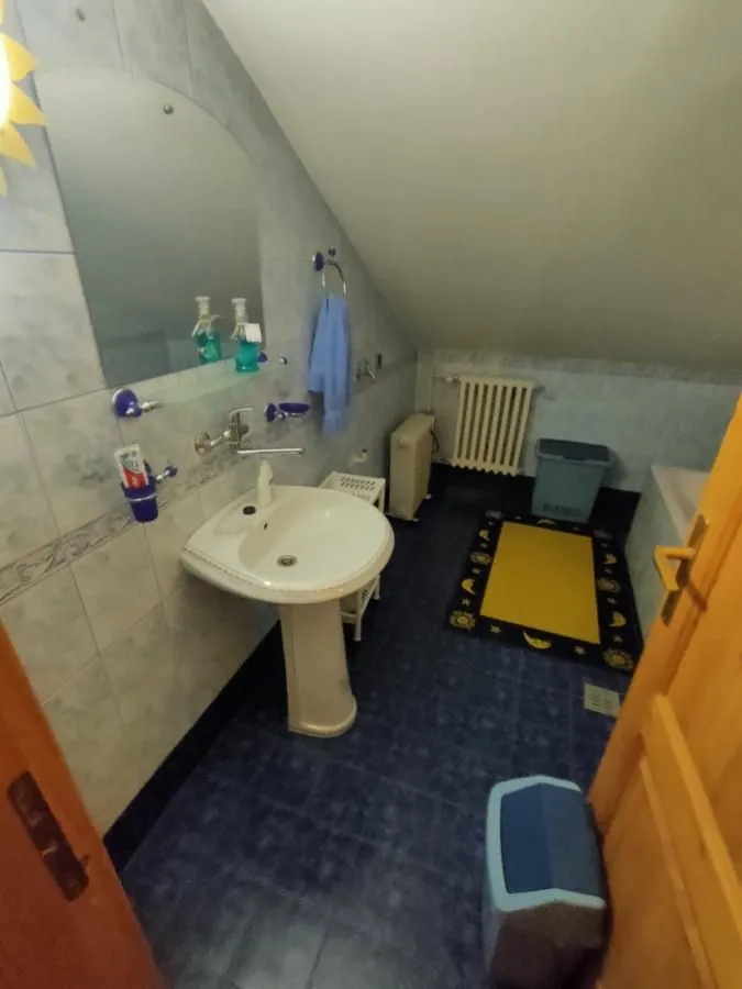 Prodaja, kuća, 250m², Sremska Kamenica, Petrovaradin