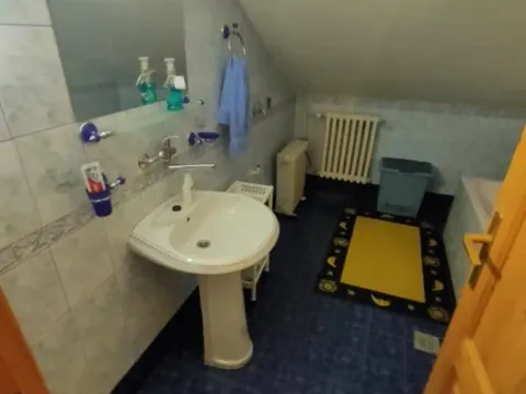 Prodaja, kuća, 250m², Sremska Kamenica, Petrovaradin - image 14