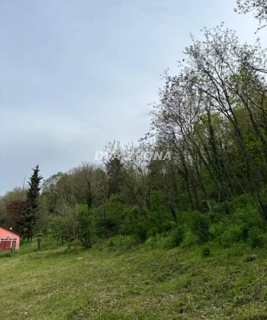 Prodaja, plac, 1900m², Čortanovci, Inđija