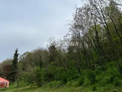 Prodaja, plac, 1900m², Čortanovci, Inđija - image 6