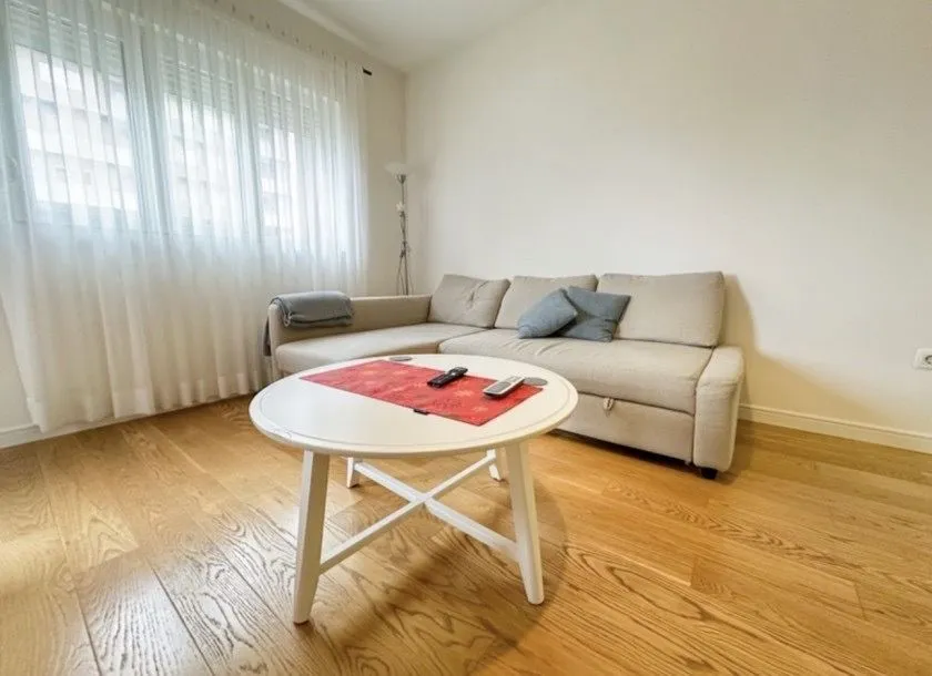 Rent, one bedroom apartment, 49m², Central Point, Podgorica