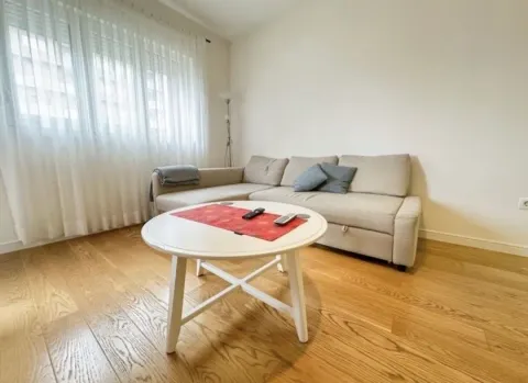 Rent, one bedroom apartment, 49m², Central Point, Podgorica - image 2