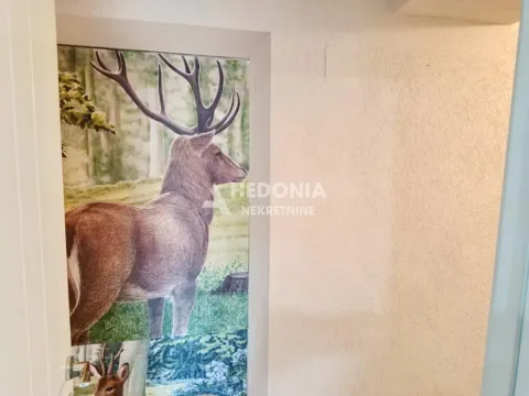 Prodaja, dvosoban stan, 64m², Zemun Centar, Zemun Sve Podlokacije - image 5