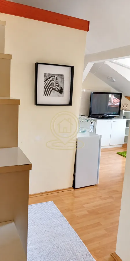 Izdavanje, jednosoban stan, 39m², Stari grad, Novi Sad