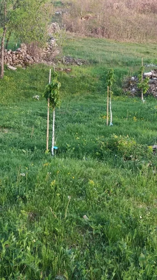 Prodaja, plac, 136000m², Dubočke, Nikšić