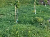 Sale, house, 60m², Dubočke, Nikšić - image 12