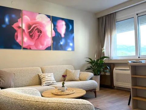 Rent, one bedroom apartment, 45m², Centar, Tivat - image 9