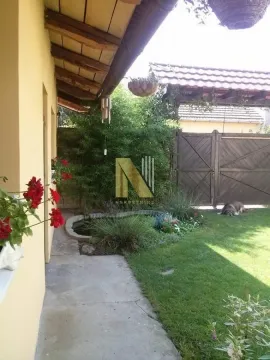 View of the landscaped courtyard with a lawn, garden, and pathway next to the house. - image 6