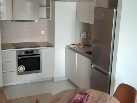 Rent, two bedroom apartment, 54m², Savski Venac, Beograd - image 5