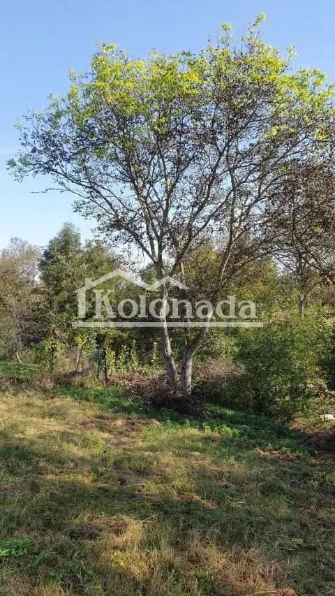 Sale, house, 50m², Sopot, Beograd