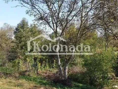 Prodaja, kuća, 50m², Sopot, Beograd - image 11