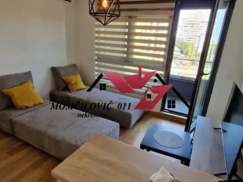 Izdavanje, garsonjera, 31m², Voždovac Sve Podlokacije, Beograd - image 5