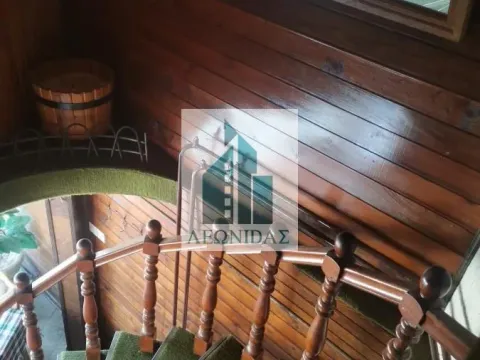 Izdavanje, poslovni prostor, 292m², Vlasotince, Srbija - image 14